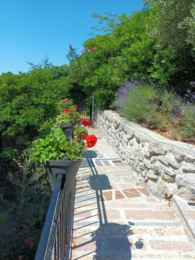 Sea & Honey Apartment Кърк Екстериор снимка
